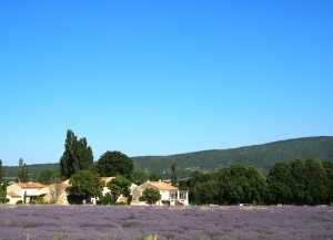 Provence city guide France Latelierdal blog mode et voyage
